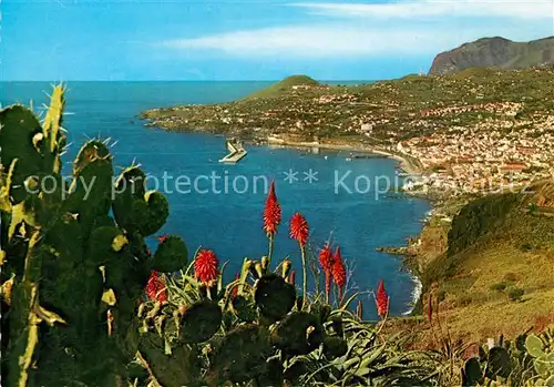 Funchal Vista Oeste Funchal