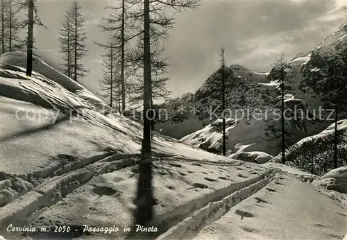 Cervinia_Aosta Passaggio in Pineta Cervinia_Aosta