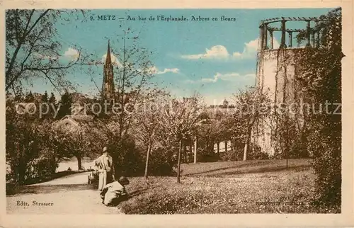 Metz_Moselle Au bas de l Esplanade Arbres en fleurs Metz_Moselle