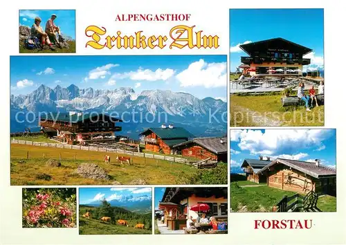 AK / Ansichtskarte Forstau Alpengasthof Trinker Alm Forstau