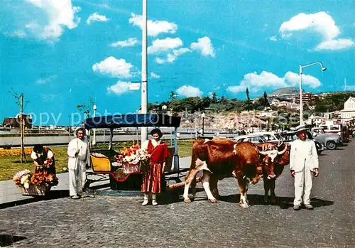 AK / Ansichtskarte Funchal Vendedeiras de flores e carro de bois Funchal