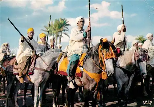 AK / Ansichtskarte Maroc_Marokko Cavaliers prets pour la Fantasia Maroc Marokko