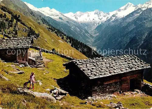 AK / Ansichtskarte Mayrhofen_Zillertal Filzenalm Mayrhofen_Zillertal