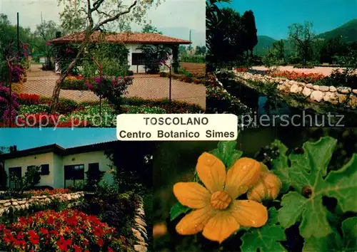 AK / Ansichtskarte Toscolano_Maderno_Lago_di_Garda Centro Botanico Simes Toscolano_Maderno