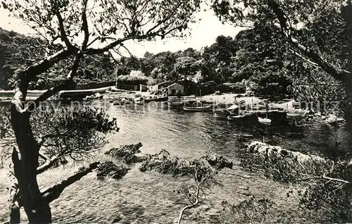 AK / Ansichtskarte Presqu_Ile de Giens Port du Niel Presqu_ile de Giens