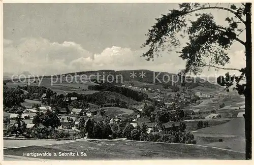 AK / Ansichtskarte Hertigswalde_Sebnitz Panorama Hertigswalde Sebnitz