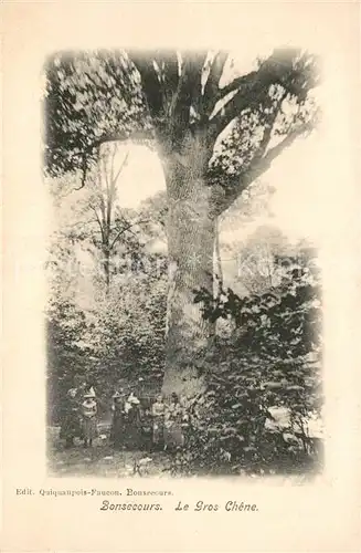 AK / Ansichtskarte Bonsecours_Belgien Le Gros Chene Arbre Bonsecours Belgien