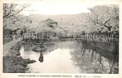 AK / Ansichtskarte Nagasaki Cherry Blossoms at Nakagawa Karurusu Nagasaki