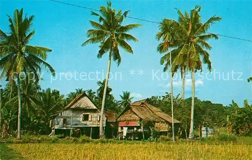 AK / Ansichtskarte Penang Malay Kampong Penang