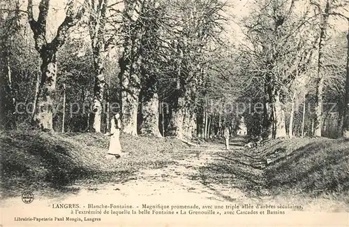 AK / Ansichtskarte Langres Blanche Fontaine Promenade Langres