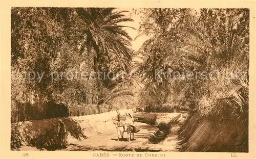 AK / Ansichtskarte Gabes Route de Chenini Gabes