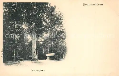 AK / Ansichtskarte Fontainebleau_Seine_et_Marne Le Jupiter Fontainebleau_Seine