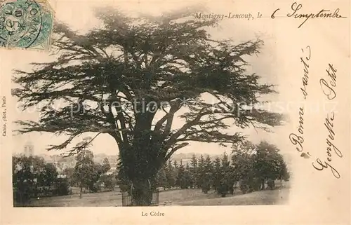 AK / Ansichtskarte Montigny Lencoup Le Cedre Montigny Lencoup
