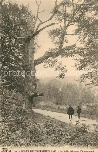 AK / Ansichtskarte Fontainebleau_Seine_et_Marne A la foret Le Sully Gorges d Apremont Fontainebleau_Seine