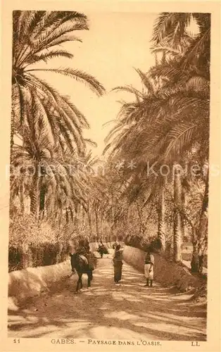AK / Ansichtskarte Gabes Paysage dans l oasis Gabes