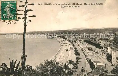 AK / Ansichtskarte Nice_Alpes_Maritimes Baie des Anges Aloes en fleurs vue prise du Chateau Nice_Alpes_Maritimes
