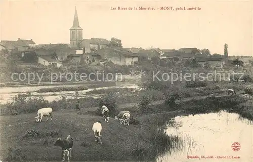 AK / Ansichtskarte Mont sur Meurthe Les Rives de la Meurthe Mont sur Meurthe