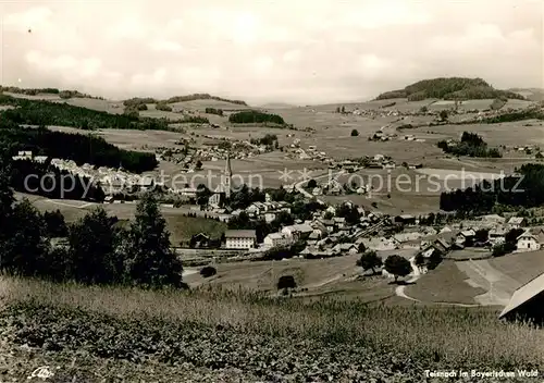 AK / Ansichtskarte Teisnach Panorama Teisnach