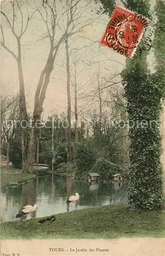 AK / Ansichtskarte Tours_Indre et Loire Jardin des Plantes Tours Indre et Loire