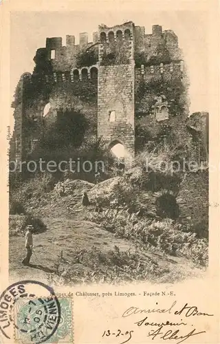 Limoges_Haute_Vienne Ruines de Chalusset Limoges_Haute_Vienne