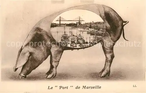 AK / Ansichtskarte Marseille_Bouches du Rhone Le Port Schwein Marseille