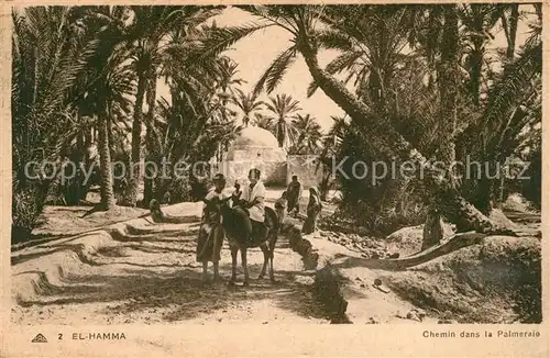 AK / Ansichtskarte El_Hamma Chemni dans la Palmeraie El_Hamma