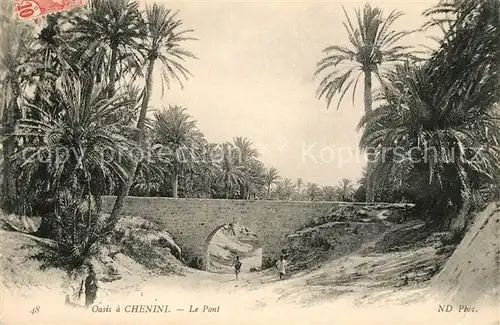 AK / Ansichtskarte Chenini Oasis Le Pont Chenini