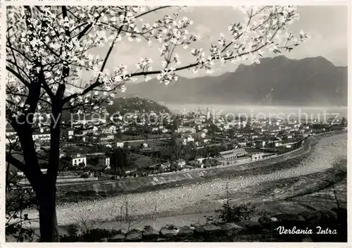 AK / Ansichtskarte Verbania Panorama Verbania