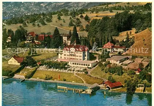 AK / Ansichtskarte Luzern_LU Hotel Kastanienbaum Luzern_LU