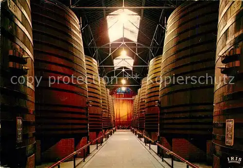 AK / Ansichtskarte Thuir Le Roussillon Thuir