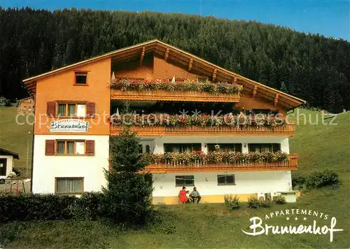 AK / Ansichtskarte Damuels_Vorarlberg Appartements Brunnenhof Damuels Vorarlberg