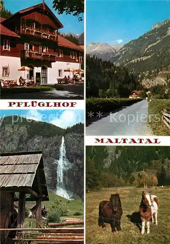 AK / Ansichtskarte Maltatal_Kaernten Alpenhotel Pflueglhof Maltatal Kaernten