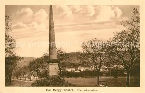 AK / Ansichtskarte Bad_Berggiesshuebel Prinzessinnensaeule Bad_Berggiesshuebel