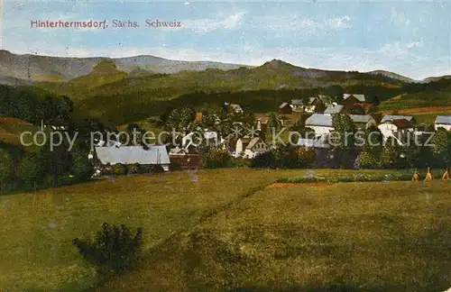 AK / Ansichtskarte Hinterhermsdorf Panorama Hinterhermsdorf
