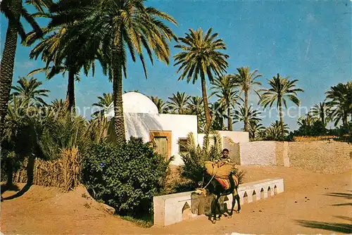 AK / Ansichtskarte Gabes L`oasis Junge mit Esel Gabes