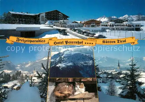 AK / Ansichtskarte Koessen_Tirol Freizeitparadies Hotel Peternhof Winterimpressionen Alpenpanorama Katze Koessen Tirol