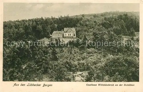 AK / Ansichtskarte Luebbecke_Westfalen Gasthaus Wittekindsruhe an der Babiloenie Luebbecke_Westfalen