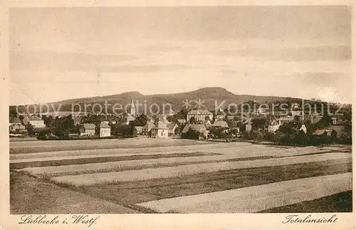 AK / Ansichtskarte Luebbecke_Westfalen Panorama Luebbecke_Westfalen