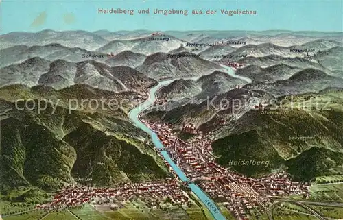 AK / Ansichtskarte Heidelberg_Neckar Panoramakarte Heidelberg Neckar