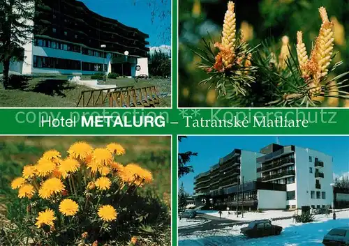 AK / Ansichtskarte Tatranske_Matliare Hotel Metalurg Borovica v kvete Pupava Flora Pflanzen 