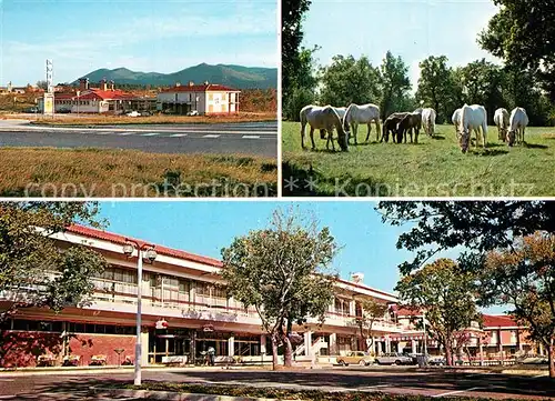 AK / Ansichtskarte Lipica Hotel Maestoso Motel Kolzina Lipica
