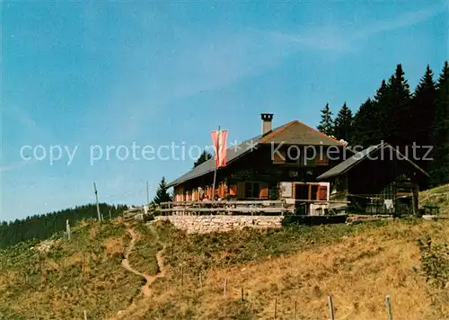 AK / Ansichtskarte Duenserberg Alpe aelpele  Duenserberg