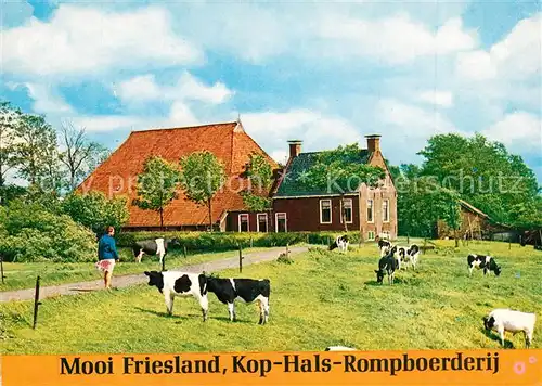 AK / Ansichtskarte Kop_Hals_Rompboerderij Friesisches Bauernhaus Viehweide Kuehe 