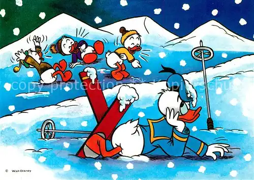 AK / Ansichtskarte Disney_Walt Donald Duck Tick Trick und Track Skifahren  Disney Walt