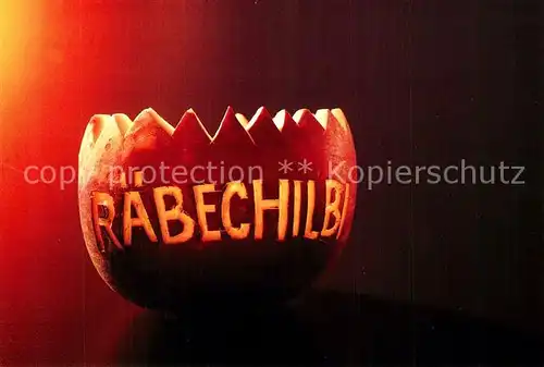 AK / Ansichtskarte Lebensmittel Herbstr?be R?bechilbi Lichternacht Z?richsee  Lebensmittel