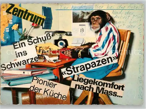 AK / Ansichtskarte Affen Nachtportier Telefon Schreibmaschine 