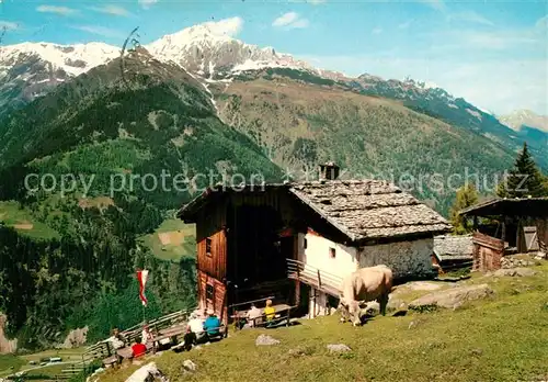 AK / Ansichtskarte Neustift_Stubaital_Tirol Autenalm gegen Hohen Burgstall Stubaier Alpen Neustift_Stubaital_Tirol