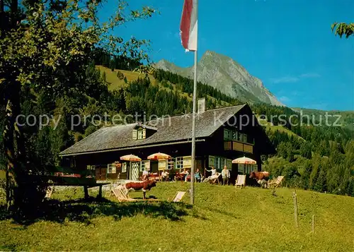 AK / Ansichtskarte Dorfgastein Jausenstation Strohlehenalm mit Blick zum Bernkogel Dorfgastein