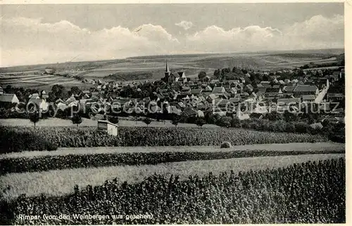 AK / Ansichtskarte Rimpar Blick von den Weinbergen Rimpar