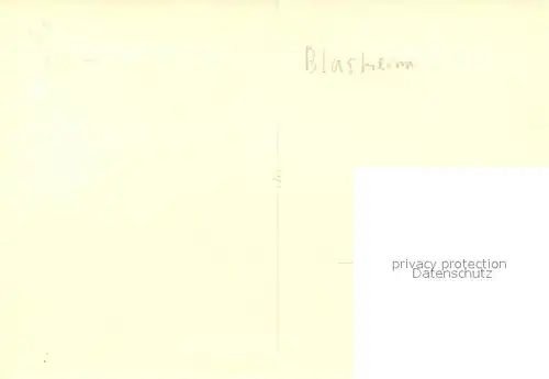 AK / Ansichtskarte Blasheim Altar Blasheim